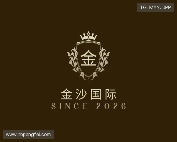 介绍金沙国际